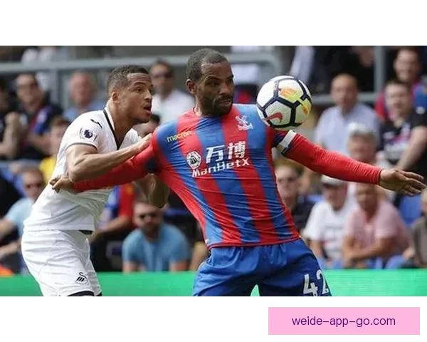 拉斯维加斯新球队或能摆脱博彩形象 11大潜在队名曝光分析