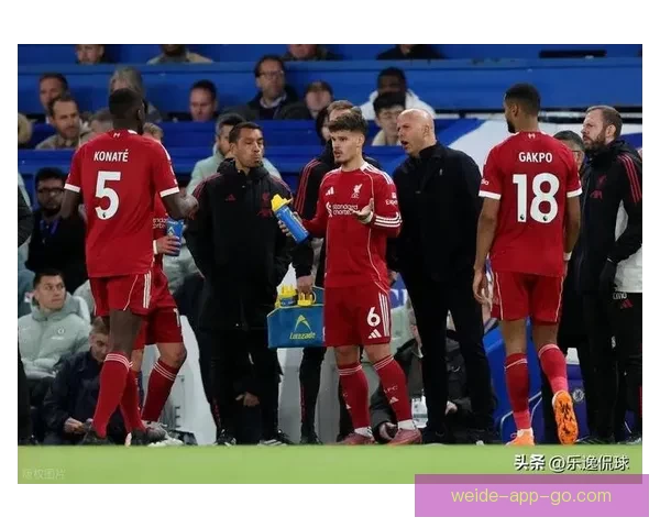 利物浦崩盘令人失望 欧冠决赛幻想几近荒唐