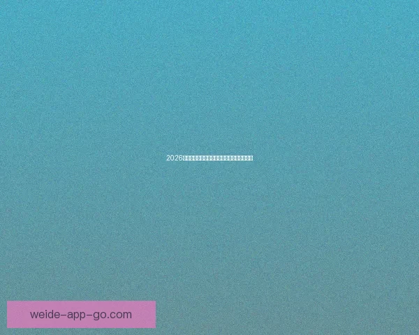 2026世界杯球场全景解析与主办城市赛事布局指南